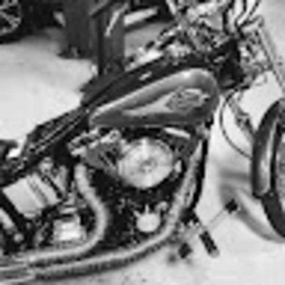 Meet your Posher, Gary - Picture 1 of 1